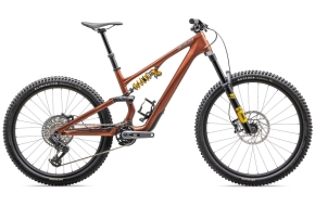 2025 Specialized Stumpjumper 15 – Öhlins Coil – Carbon Mountain Bike (RACYCLESPORT)
